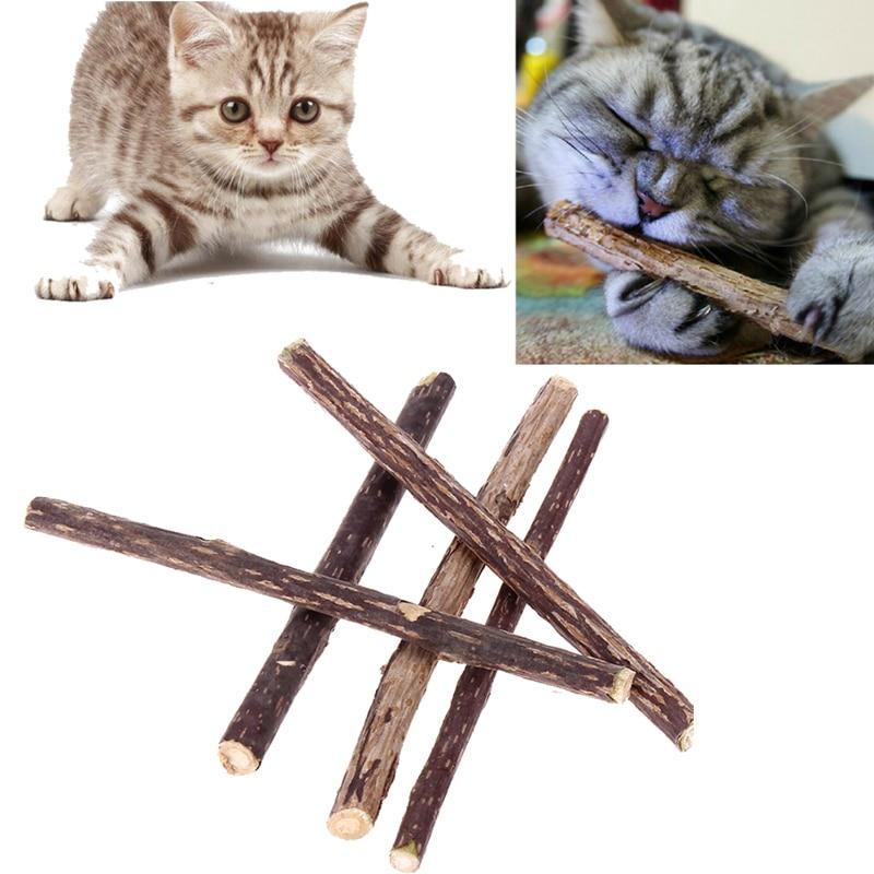 5PCS 12CM Cat Cleaning Teeth Natural Catnip Pet Cat Molar Toothpaste Stick Silvervine Actinidia Fruit Matatabi Cat Snacks Sticks