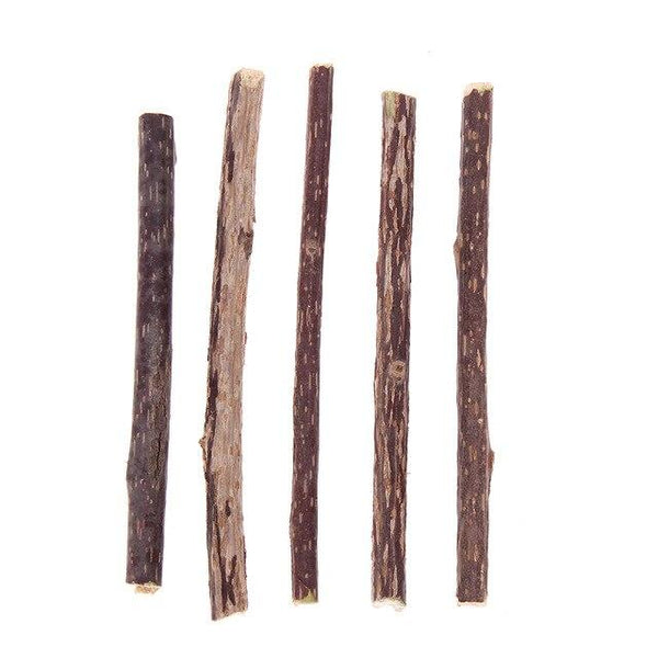 5PCS 12CM Cat Cleaning Teeth Natural Catnip Pet Cat Molar Toothpaste Stick Silvervine Actinidia Fruit Matatabi Cat Snacks Sticks