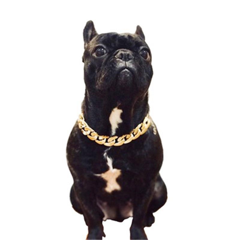 Teddy Bago law fighting dog bully gold chain small and medium dog collar pet necklace jewelry accessories Hot