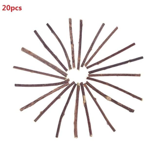 15/20pcs Cat Cleaning Teeth Natural Catnip Pet Cat Molar Toothpaste Stick Matatabi Actinidia Fruit Silvervine Cat Snacks Sticks