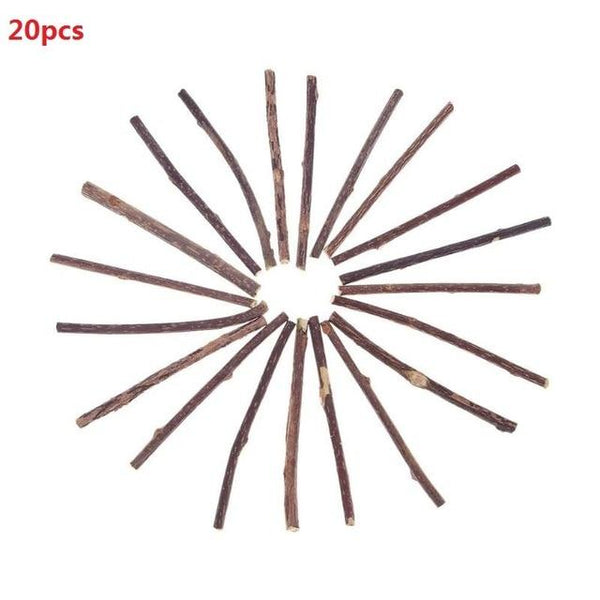 15/20pcs Cat Cleaning Teeth Natural Catnip Pet Cat Molar Toothpaste Stick Matatabi Actinidia Fruit Silvervine Cat Snacks Sticks