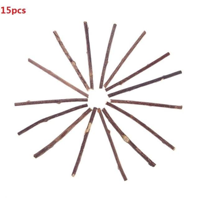 15/20pcs Cat Cleaning Teeth Natural Catnip Pet Cat Molar Toothpaste Stick Matatabi Actinidia Fruit Silvervine Cat Snacks Sticks