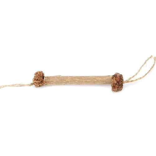 15/20pcs Cat Cleaning Teeth Natural Catnip Pet Cat Molar Toothpaste Stick Matatabi Actinidia Fruit Silvervine Cat Snacks Sticks
