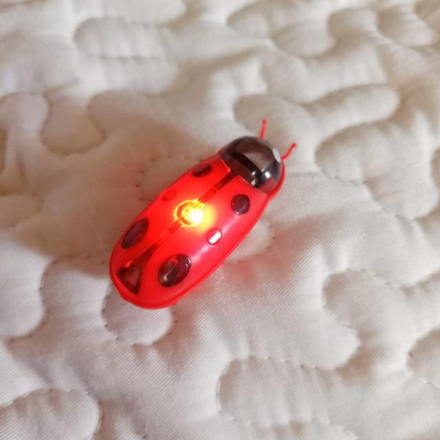 Glowing cat toy Cat bug toy With Light Cat toy