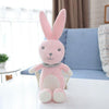 Animal Friends Bing Bunny Toy, Red Bunny Rabbit Bear Panda Fox Elephant Tinger Monkey Stuffed Animals Plush Toy For Girls